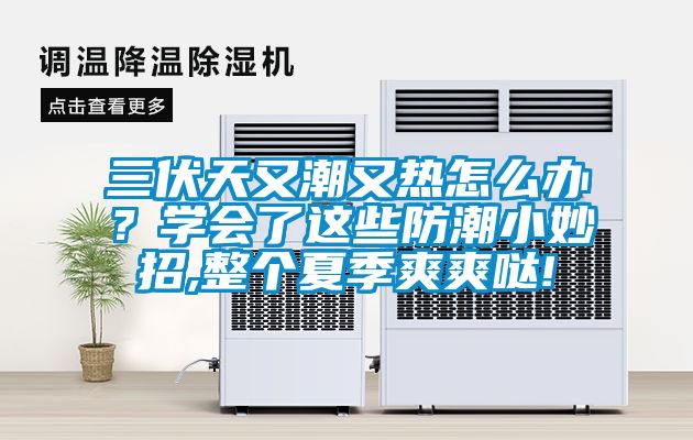 三伏天又潮又熱怎么辦？學(xué)會(huì )了這些防潮小妙招,整個(gè)夏季爽爽噠!