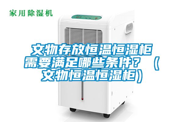 文物存放恒溫恒濕柜需要滿(mǎn)足哪些條件？（文物恒溫恒濕柜）