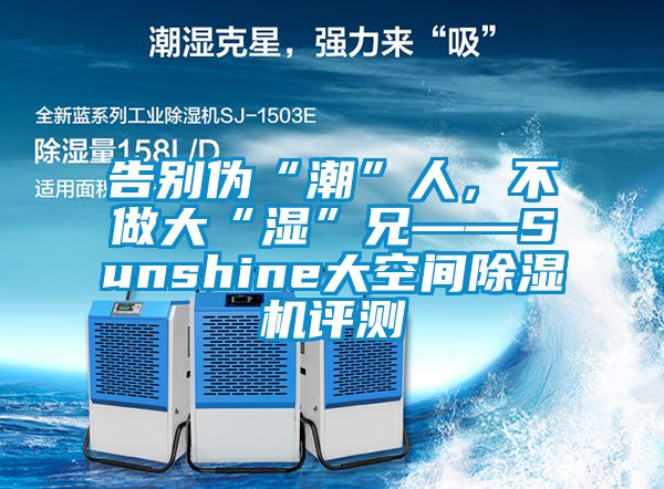 告別偽“潮”人，不做大“濕”兄——Sunshine大空間除濕機評測