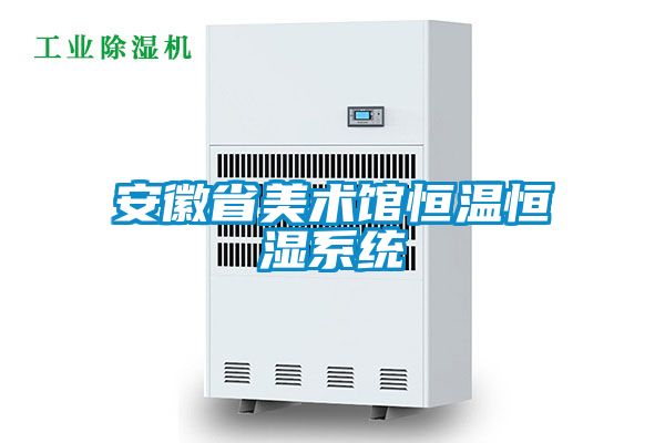 安徽省美術(shù)館恒溫恒濕系統