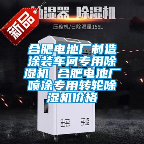 合肥電池廠(chǎng)制造涂裝車(chē)間專(zhuān)用除濕機 合肥電池廠(chǎng)噴涂專(zhuān)用轉輪除濕機價(jià)格