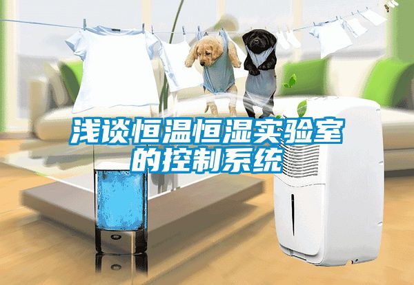 淺談恒溫恒濕實(shí)驗室的控制系統