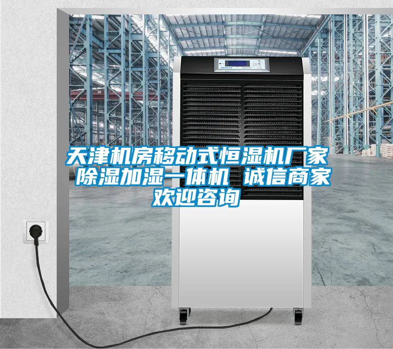 天津機房移動(dòng)式恒濕機廠(chǎng)家 除濕加濕一體機 誠信商家歡迎咨詢(xún)
