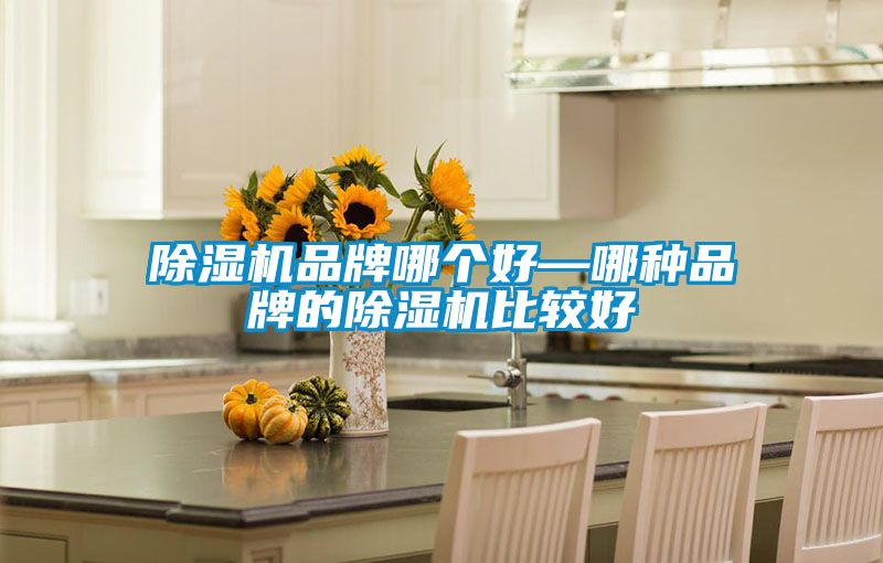 除濕機品牌哪個(gè)好—哪種品牌的除濕機比較好