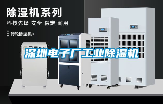 深圳電子廠(chǎng)工業(yè)除濕機