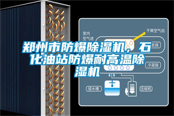 鄭州市防爆除濕機，石化油站防爆耐高溫除濕機