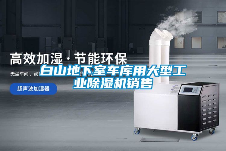 白山地下室車(chē)庫用大型工業(yè)除濕機銷(xiāo)售
