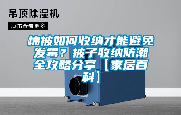 棉被如何收納才能避免發(fā)霉？被子收納防潮全攻略分享【家居百科】