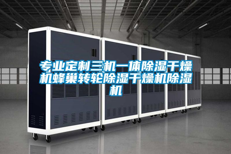 專(zhuān)業(yè)定制三機一體除濕干燥機蜂巢轉輪除濕干燥機除濕機