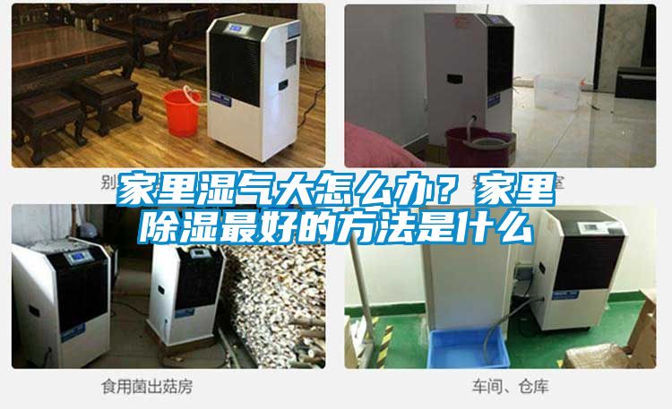 家里濕氣大怎么辦？家里除濕最好的方法是什么