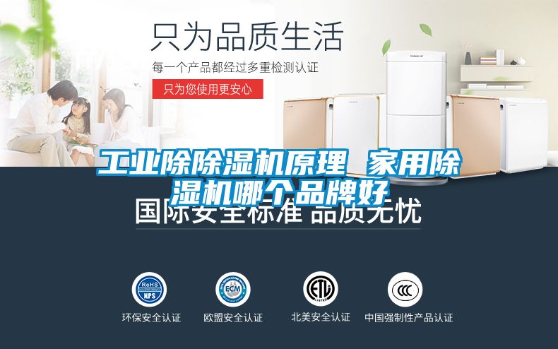 工業(yè)除除濕機原理 家用除濕機哪個(gè)品牌好
