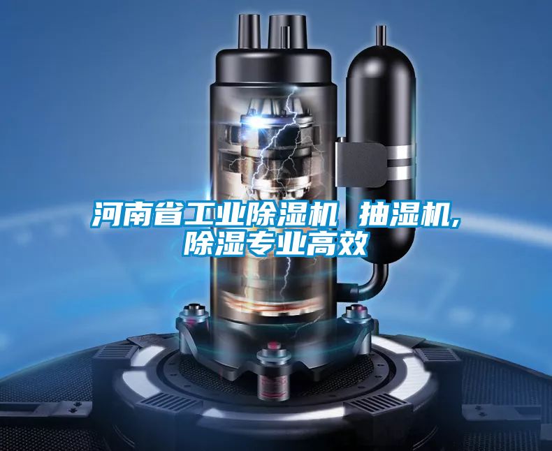 河南省工業(yè)除濕機 抽濕機,除濕專(zhuān)業(yè)高效