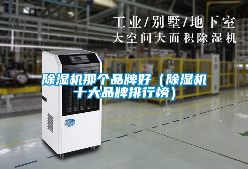 除濕機那個(gè)品牌好（除濕機十大品牌排行榜）