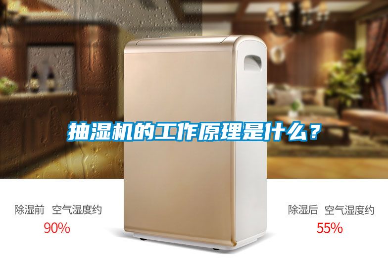 抽濕機的工作原理是什么？