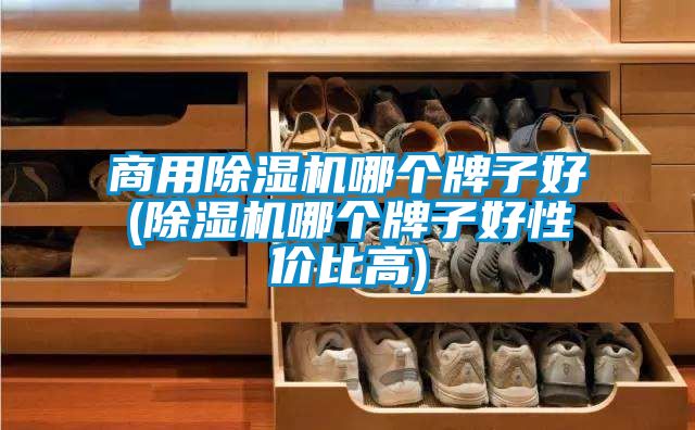 商用除濕機哪個(gè)牌子好(除濕機哪個(gè)牌子好性?xún)r(jià)比高)