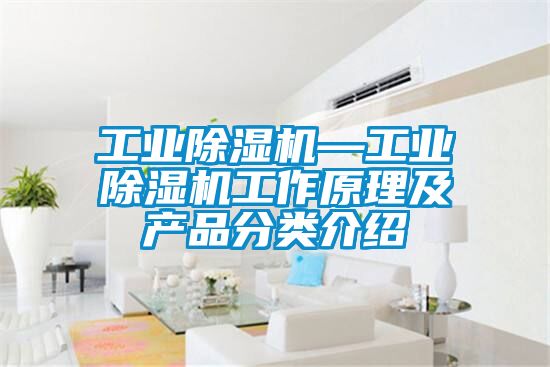 工業(yè)除濕機—工業(yè)除濕機工作原理及產(chǎn)品分類(lèi)介紹