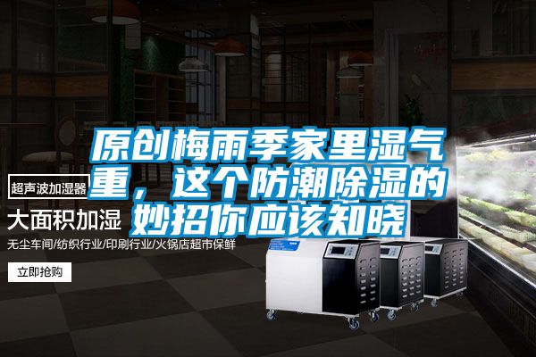 原創(chuàng  )梅雨季家里濕氣重，這個(gè)防潮除濕的妙招你應該知曉