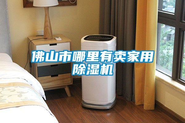 佛山市哪里有賣(mài)家用除濕機