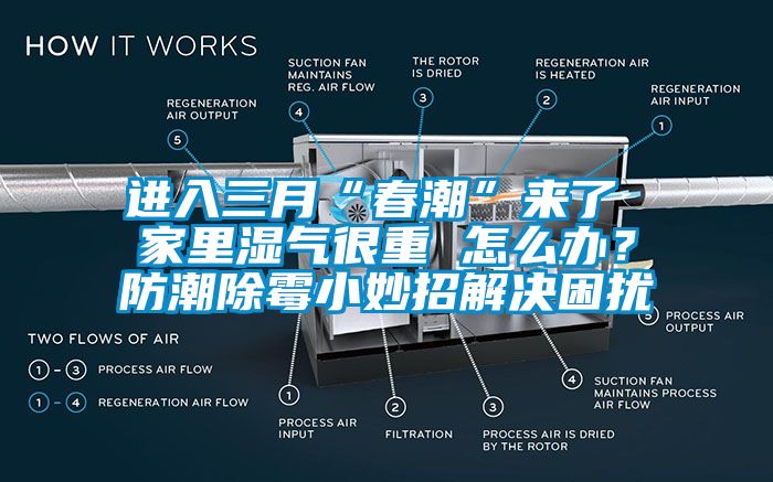 進入三月“春潮”來了 家里濕氣很重 怎么辦？防潮除霉小妙招解決困擾