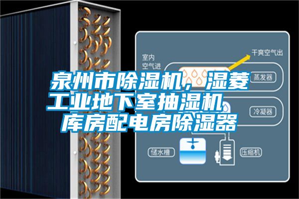 泉州市除濕機，濕菱工業(yè)地下室抽濕機  庫房配電房除濕器
