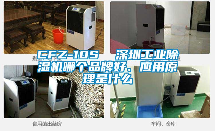 CFZ-10S  深圳工業(yè)除濕機哪個(gè)品牌好、應用原理是什么