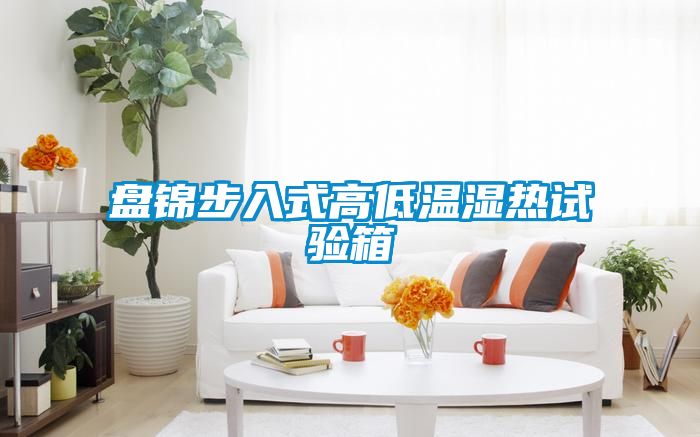 盤(pán)錦步入式高低溫濕熱試驗箱